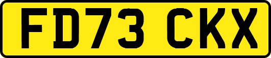 FD73CKX