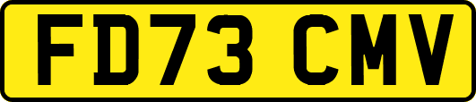 FD73CMV