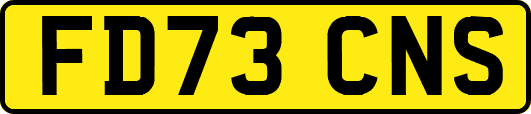 FD73CNS