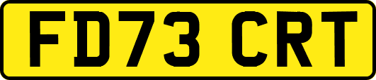 FD73CRT