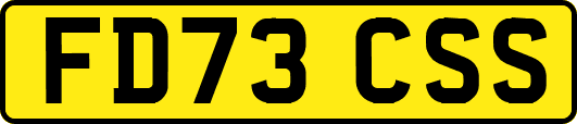 FD73CSS