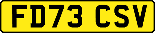 FD73CSV