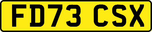 FD73CSX