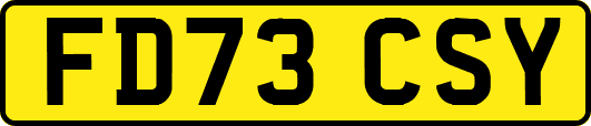 FD73CSY