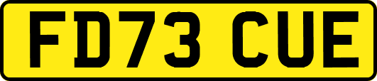 FD73CUE