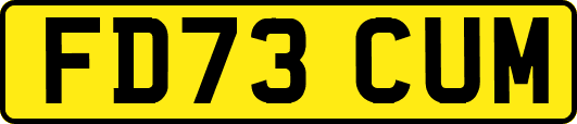 FD73CUM