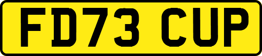 FD73CUP