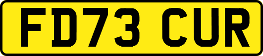 FD73CUR