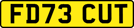 FD73CUT