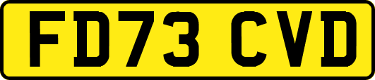 FD73CVD