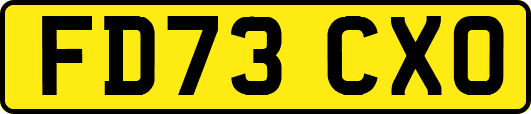 FD73CXO