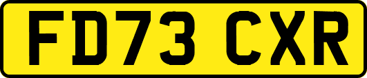 FD73CXR