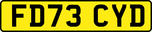 FD73CYD