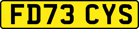 FD73CYS