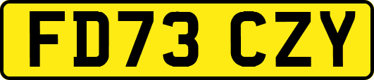 FD73CZY
