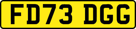 FD73DGG
