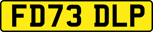FD73DLP