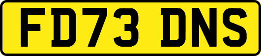 FD73DNS
