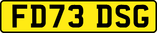 FD73DSG