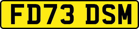 FD73DSM