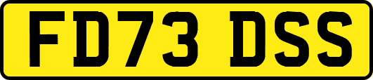 FD73DSS