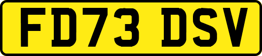 FD73DSV