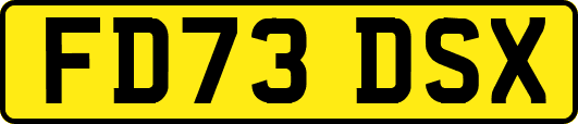 FD73DSX