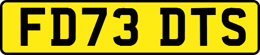 FD73DTS