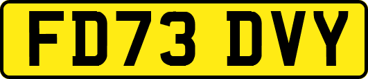 FD73DVY