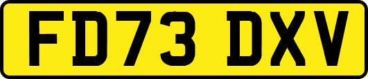 FD73DXV