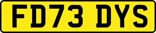 FD73DYS