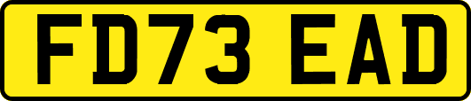 FD73EAD