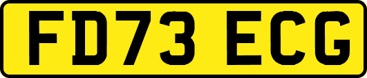 FD73ECG