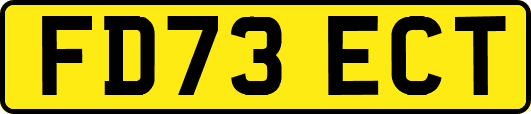 FD73ECT