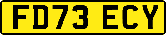FD73ECY