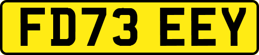 FD73EEY