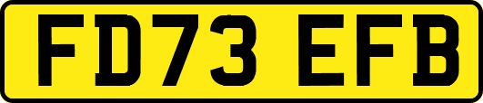 FD73EFB