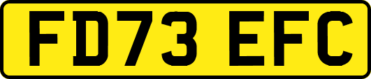 FD73EFC