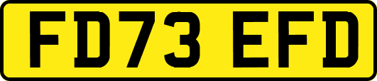 FD73EFD