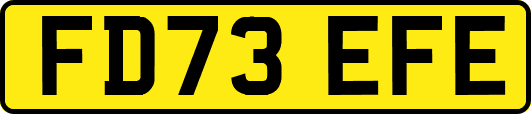 FD73EFE