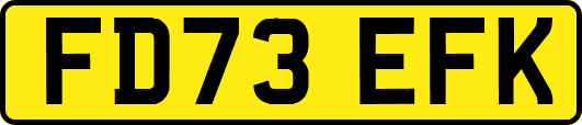 FD73EFK