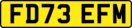 FD73EFM