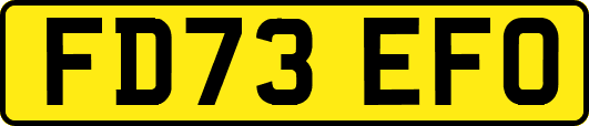 FD73EFO