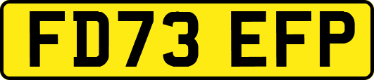 FD73EFP