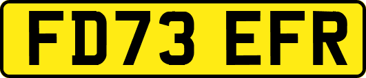 FD73EFR