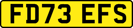 FD73EFS