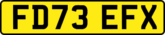 FD73EFX
