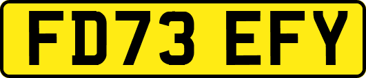 FD73EFY