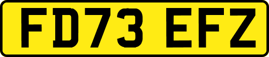 FD73EFZ