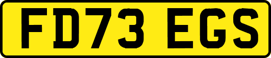 FD73EGS
